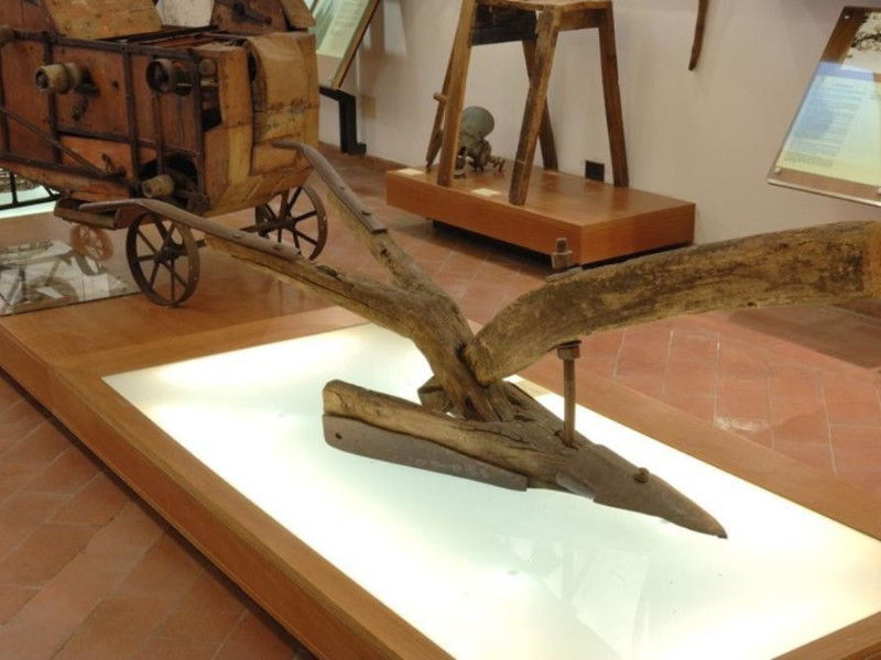 Interno. Museo della civiltà contadina la ter Fedeli, Marcello; jpg; 768 pixels; 511 pixels Interno. Museo della civiltà contadina la ter Fedeli, Marcello; jpg; 768 pixels; 511 pixels