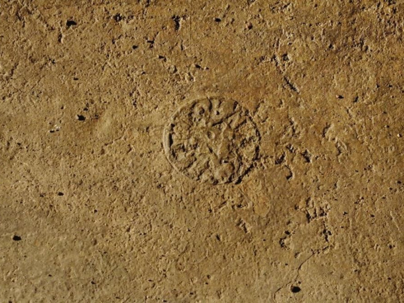 Interno. Particolare Fedeli, Marcello; jpg; 768 pixels; 511 pixels Interno. Particolare Fedeli, Marcello; jpg; 768 pixels; 511 pixels