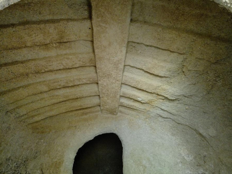 Necropoli umbro-etrusca del Vallone S. Lorenz Fedeli, Marcello; jpg; 2126 pixels; 1417 pixels