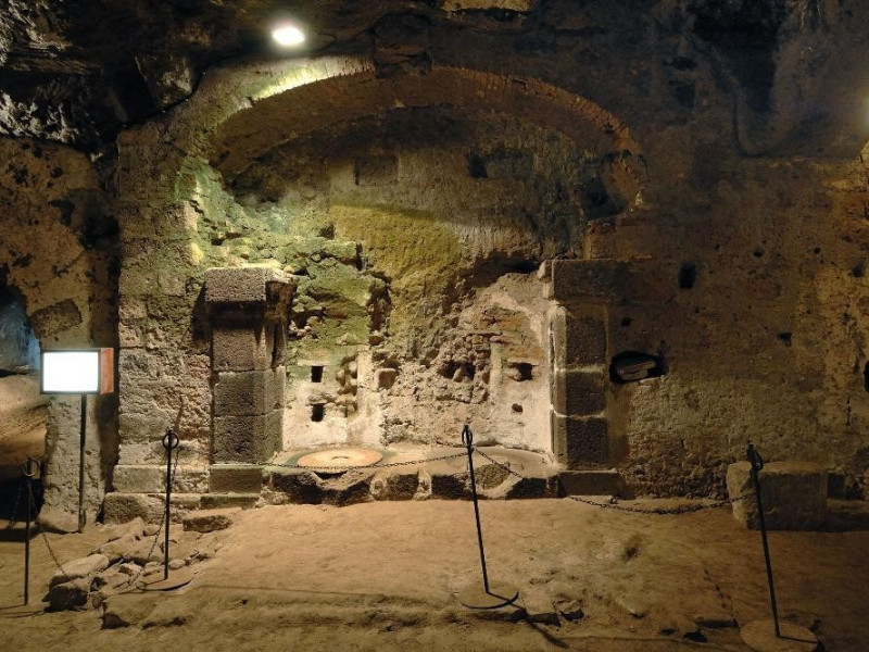 Immagine descrittiva -  Immagine descrittiva -