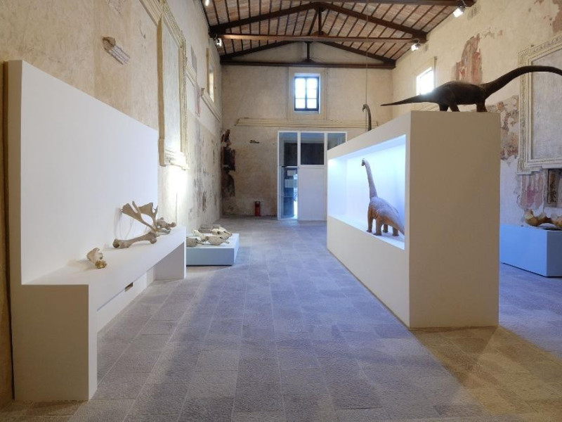 Mostra permanente di paleontologia. Sala espo Fedeli, Marcello; jpg; 2126 pixels; 1417 pixels Mostra permanente di paleontologia. Sala espo Fedeli, Marcello; jpg; 2126 pixels; 1417 pixels