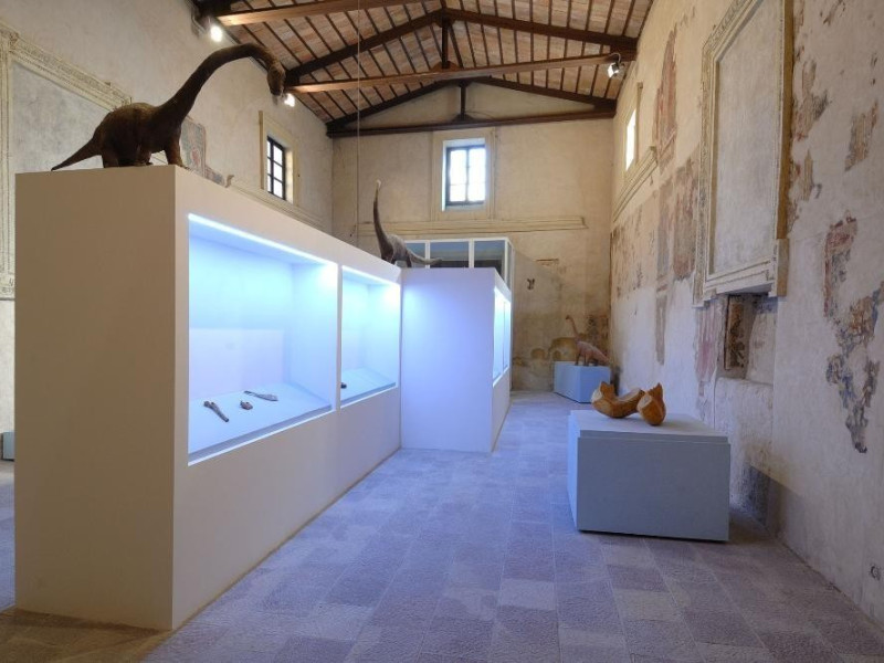 Mostra permanente di paleontologia. Sala espo Fedeli, Marcello; jpg; 2126 pixels; 1417 pixels Mostra permanente di paleontologia. Sala espo Fedeli, Marcello; jpg; 2126 pixels; 1417 pixels