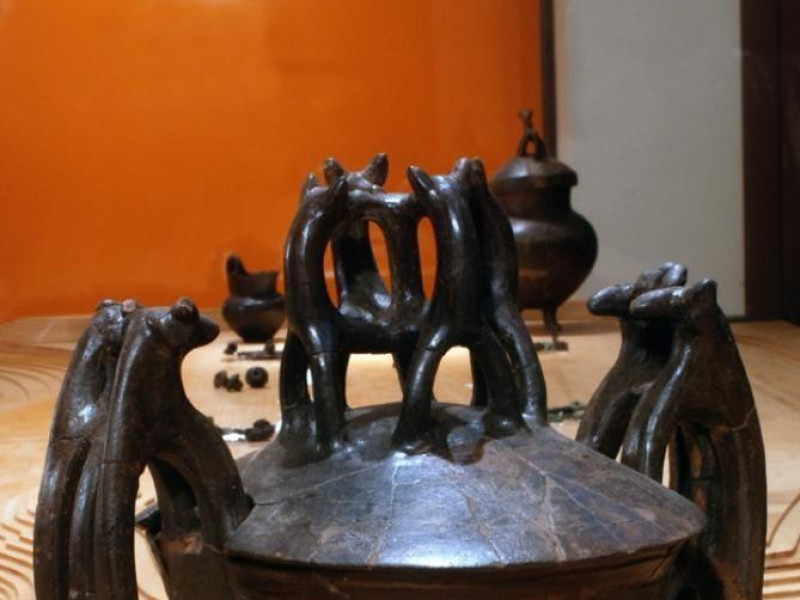 Museo archeologico CAOS (CENTRO ARTI OPIFICIO ; jpg; 622 pixels; 929 pixels Museo archeologico CAOS (CENTRO ARTI OPIFICIO ; jpg; 622 pixels; 929 pixels