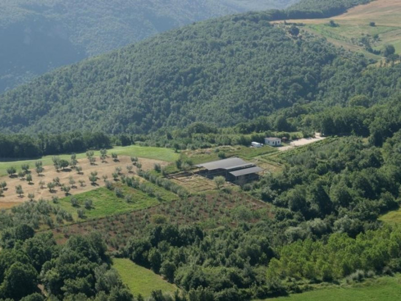 Veduta panoramica. Università di Perugia – Scavo di Scoppieto; jpg; 768 pixels; 512 pixels Veduta panoramica. Università di Perugia – Scavo di Scoppieto; jpg; 768 pixels; 512 pixels