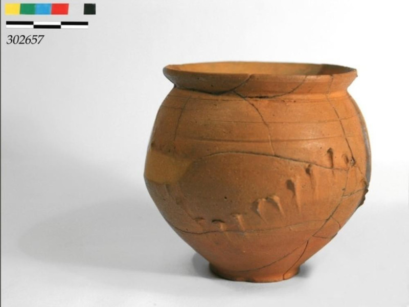Vaso in terracotta Università di Perugia – Scavo di Scoppieto; jpg; 768 pixels; 579 pixels Vaso in terracotta Università di Perugia – Scavo di Scoppieto; jpg; 768 pixels; 579 pixels