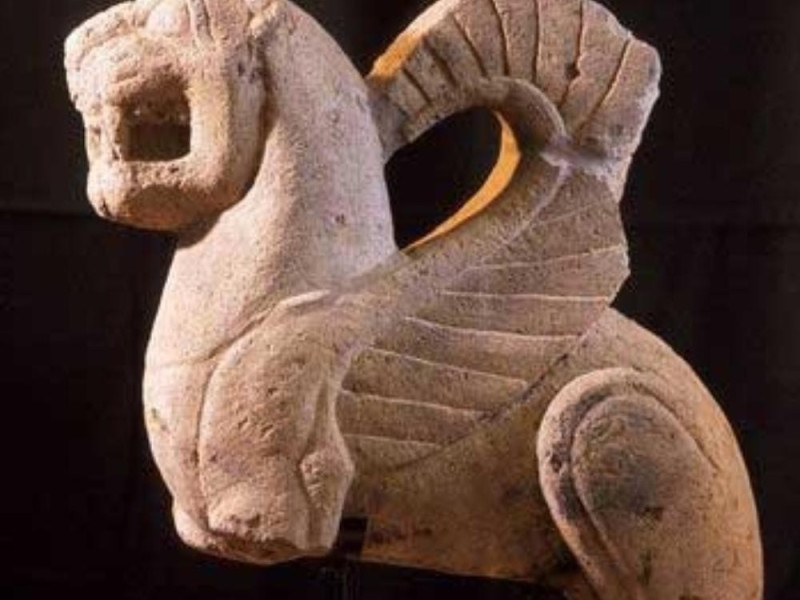 Museo archeologico "Pietro e Turiddo Lotti" Museo archeologico "Pietro e Turiddo Lotti"