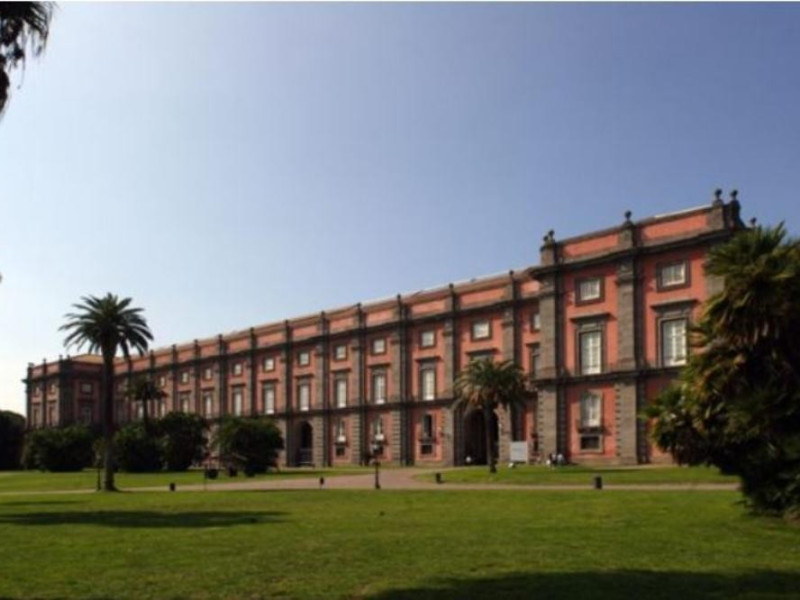 Museo Museo