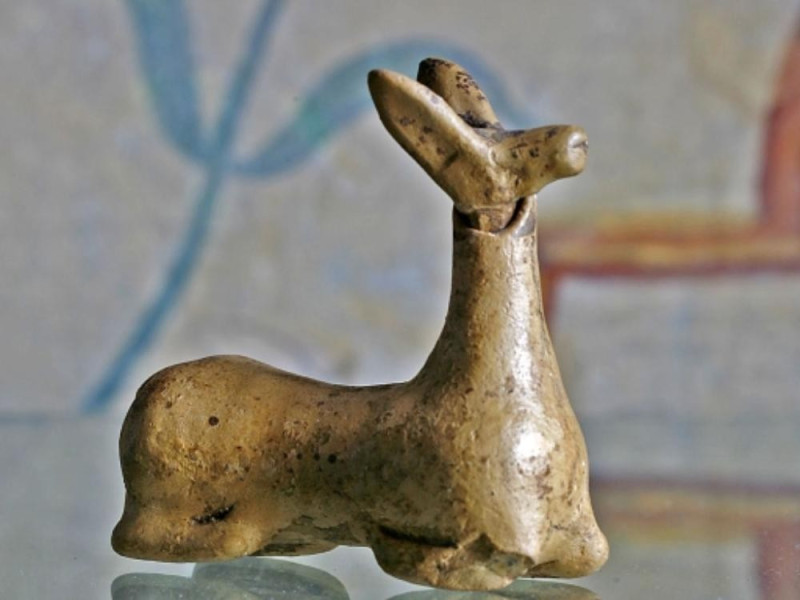 Museo civico archeologico Museo civico archeologico