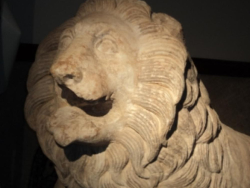 Museo archeologico di Trebula Mutuesca Museo archeologico di Trebula Mutuesca
