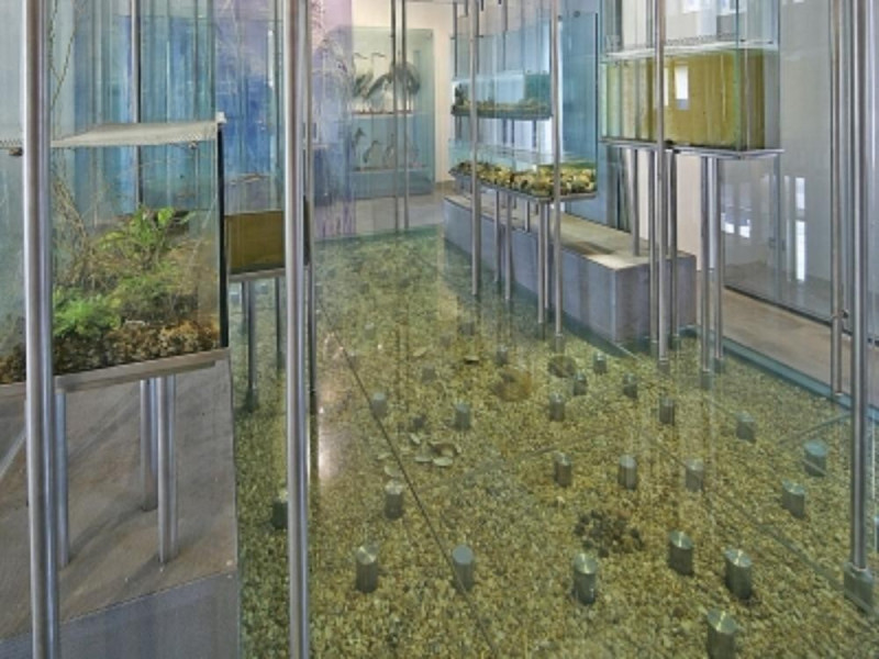 Museo del Fiume Museo del Fiume