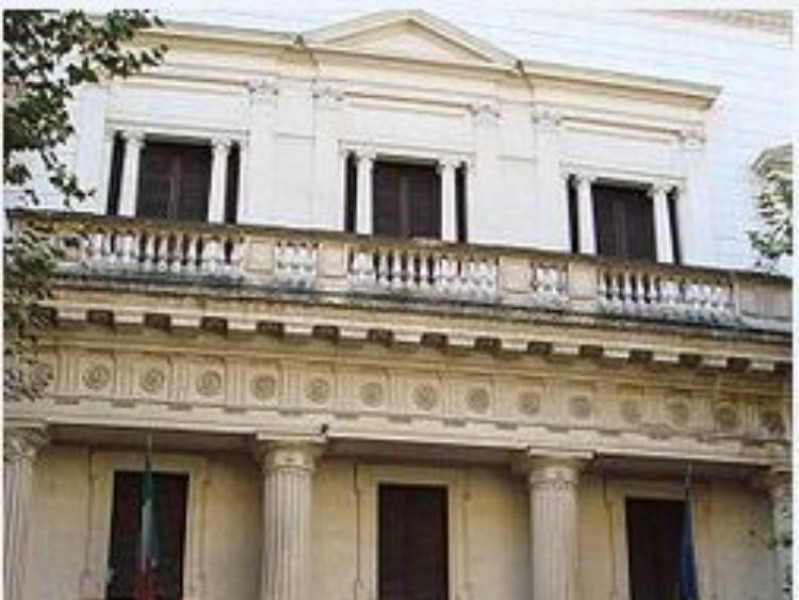 Museo Museo