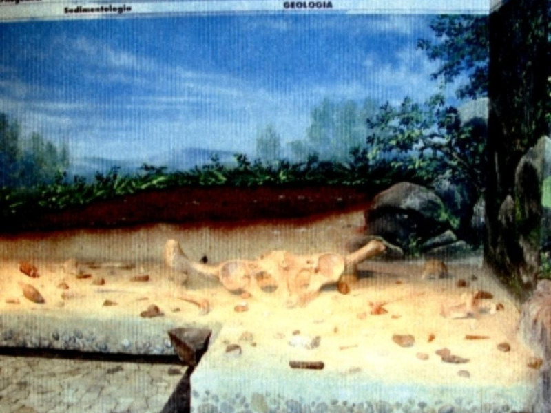 Roma, Museo Nazionale Preistorico ed Etnografico "L. Pigorini"