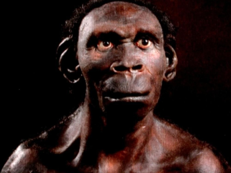 Roma, Museo Nazionale Preistorico ed Etnografico "L. Pigorini"