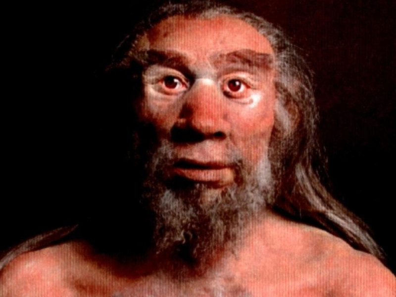 Roma, Museo Nazionale Preistorico ed Etnografico "L. Pigorini"