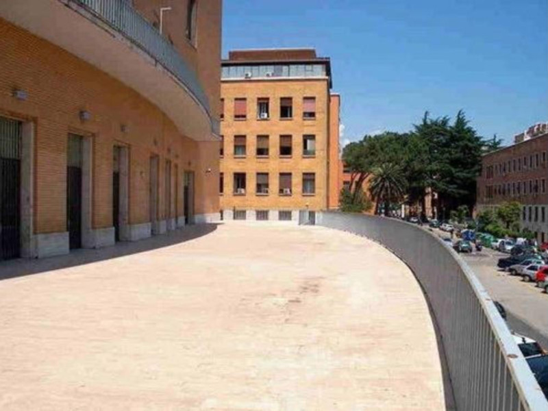 Museo Museo