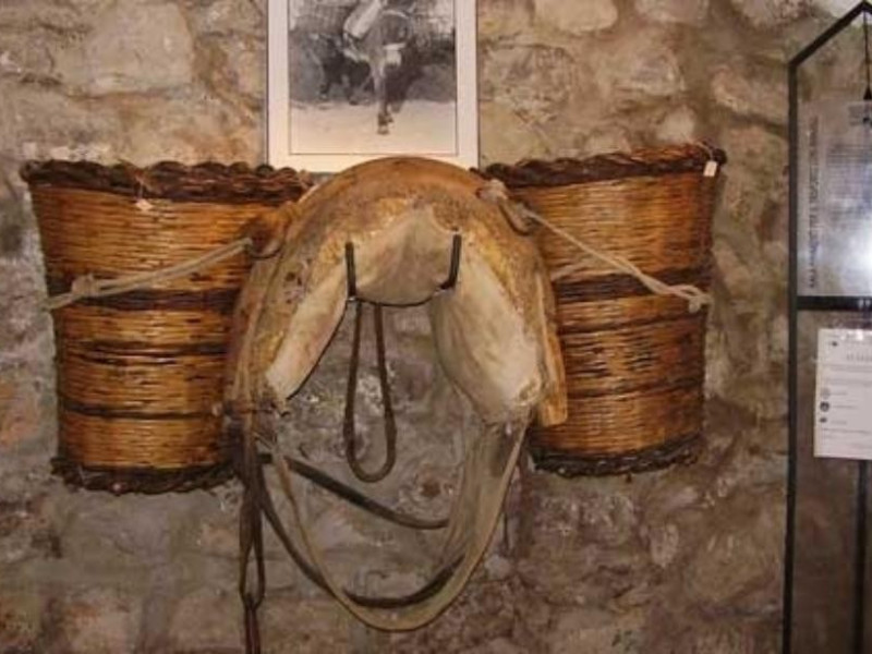 Museo della civiltà contadina e dell'ulivo Museo della civiltà contadina e dell'ulivo