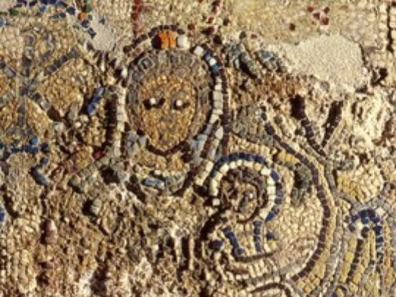 Allestimento museale, particolare con il mosa