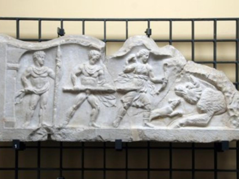 Allestimento museale, pluteo con scena di cac