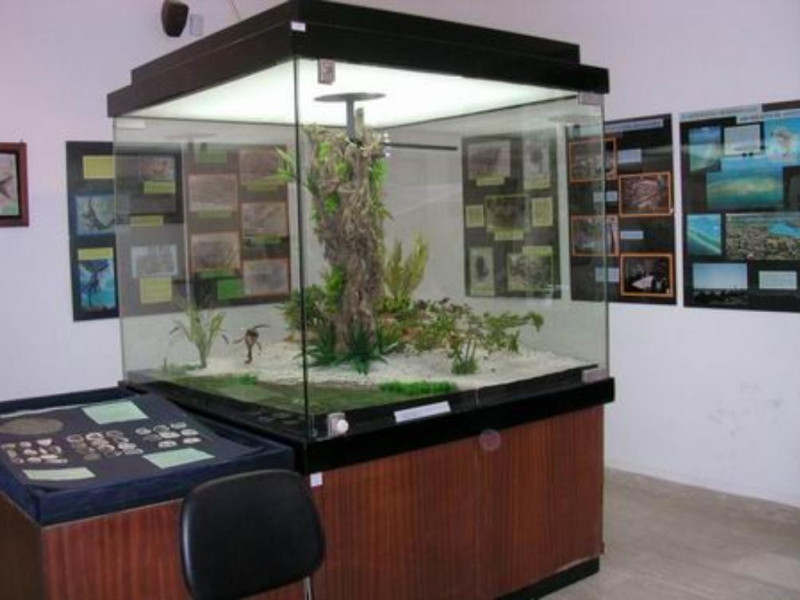 Cusano Mutri, Museo Civico del Territorio  Cusano Mutri, Museo Civico del Territorio