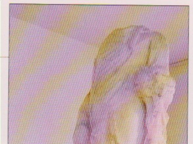 Morcone, Museo Civico "Enrico Sannia"