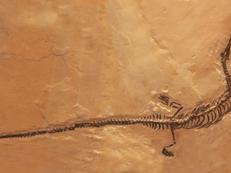 Vico Equense, Museo Mineralogico Campano