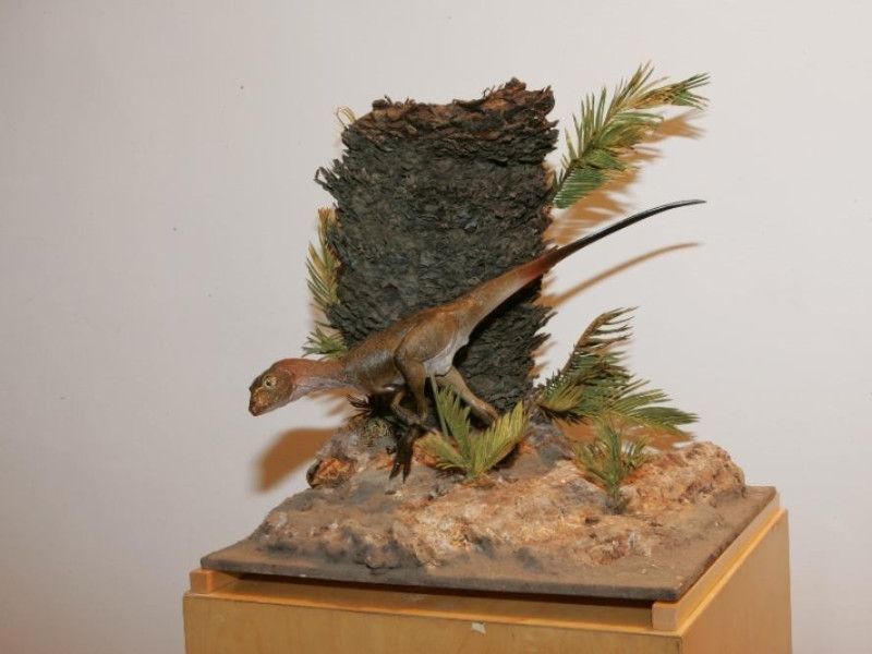 Vico Equense, Museo Mineralogico Campano