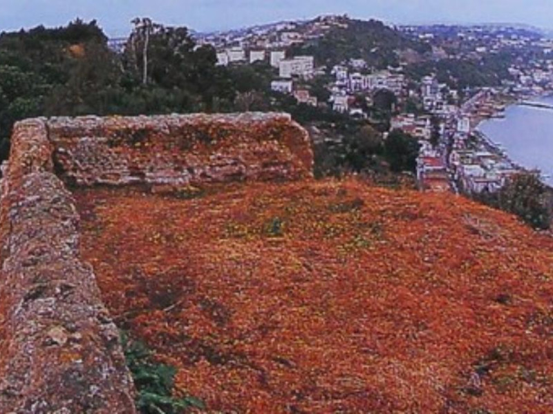 Baia, parco monumentale, particolare di uno d Baia, parco monumentale, particolare di uno d