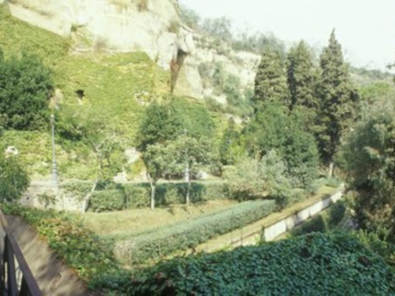 Particolare del parco