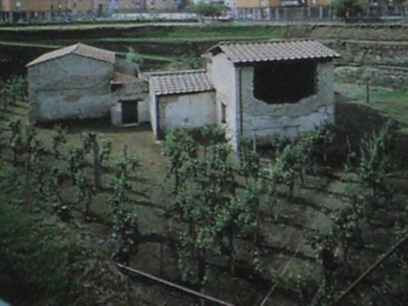 Villa Regina, veduta d'insieme della villa co Villa Regina, veduta d'insieme della villa co