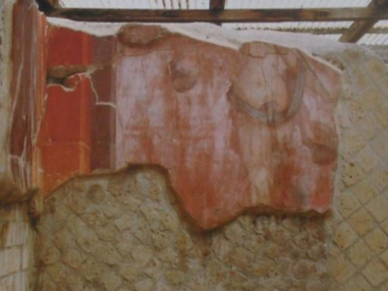 Villa dei Papiri, dettaglio di un affresco pa