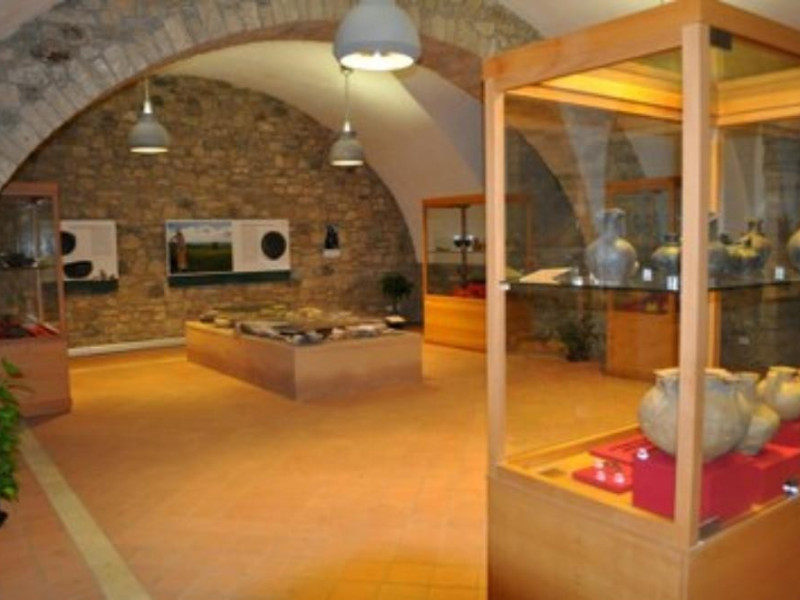 Allestimento museale Allestimento museale