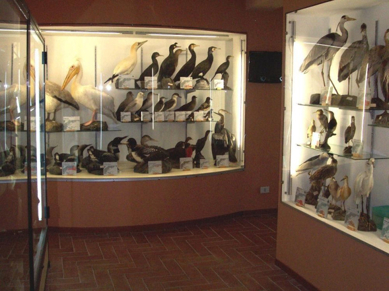 Corleto Monforte, Museo Naturalistico - Fondazione IRIDIA 