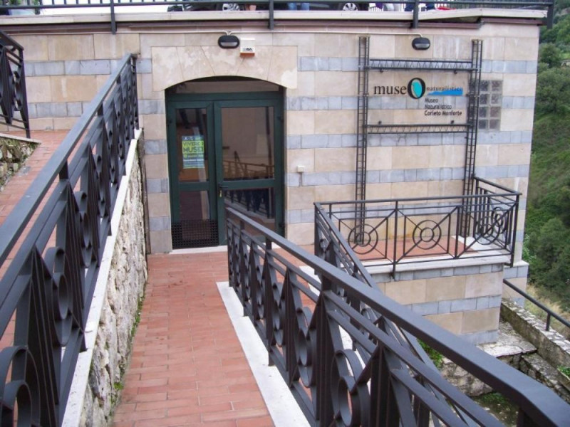 Corleto Monforte, Museo Naturalistico - Fondazione IRIDIA 