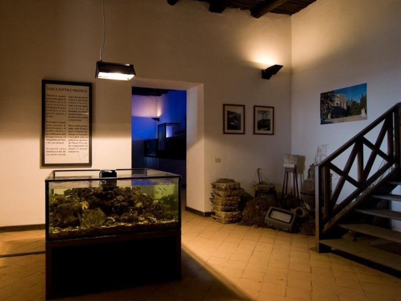 Pollica, Museo Vivo del Mare Pollica, Museo Vivo del Mare