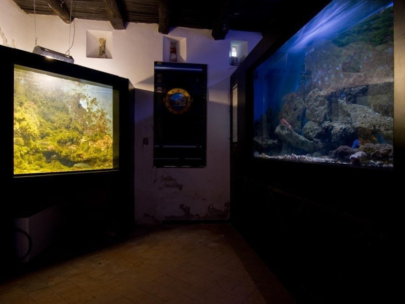 Pollica, Museo Vivo del Mare Pollica, Museo Vivo del Mare