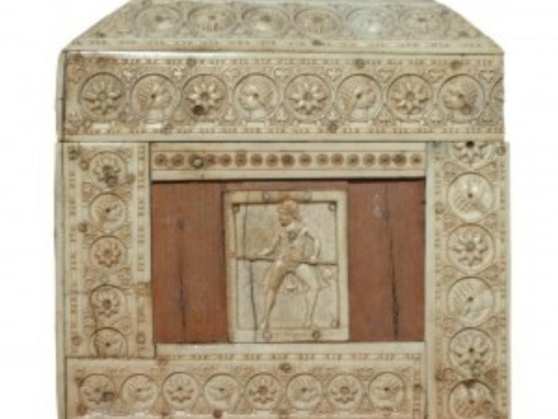 Pisside eburnea Pisside eburnea