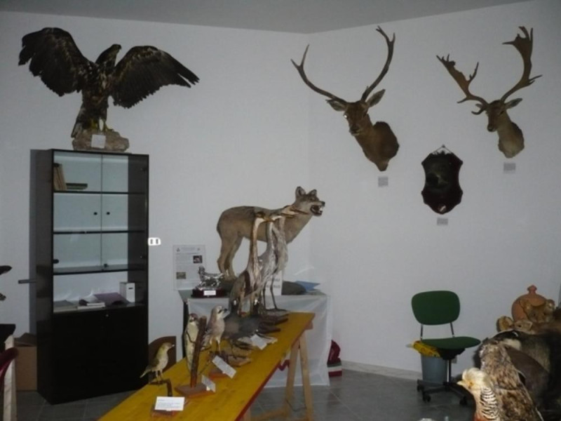 MUSEO DELLE TRADIZIONI VENATORIE MUSEO DELLE TRADIZIONI VENATORIE