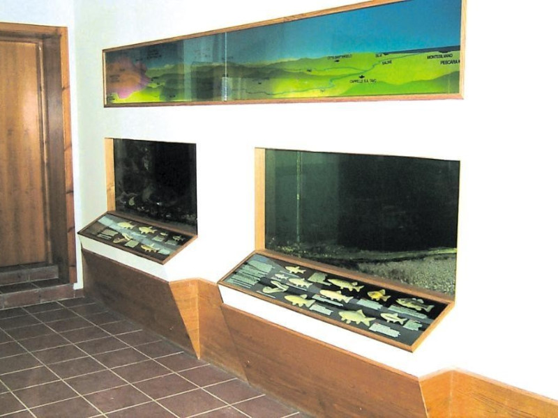 Interno Interno