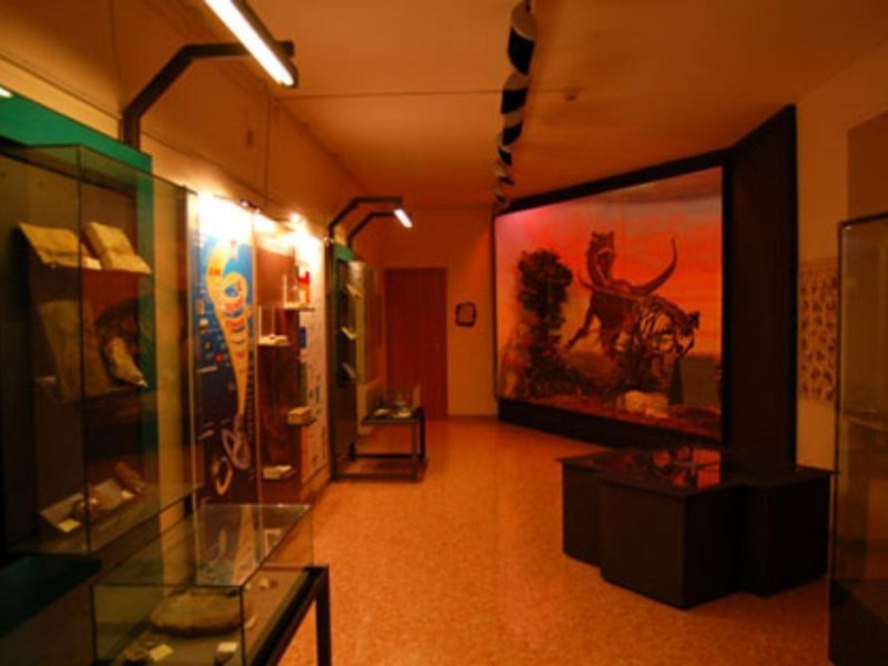 Foggia, Museo Provinciale di Storia Naturale  Foggia, Museo Provinciale di Storia Naturale