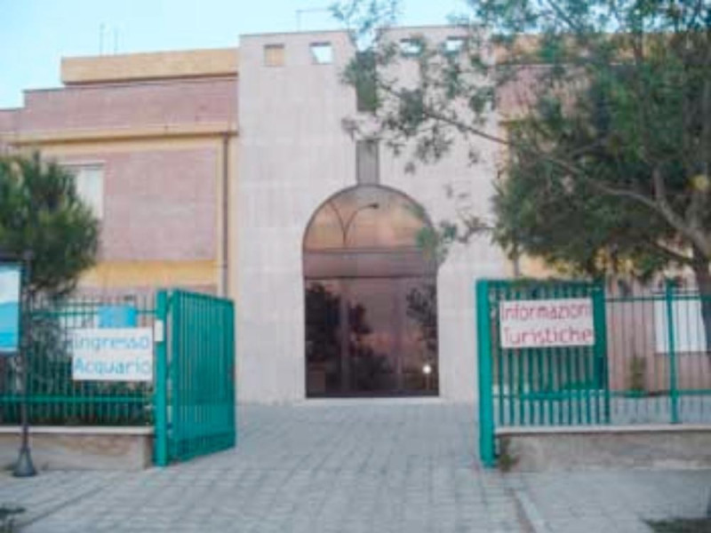 Lesina, Museo Naturalistico del Comune di Lesina Lesina, Museo Naturalistico del Comune di Lesina