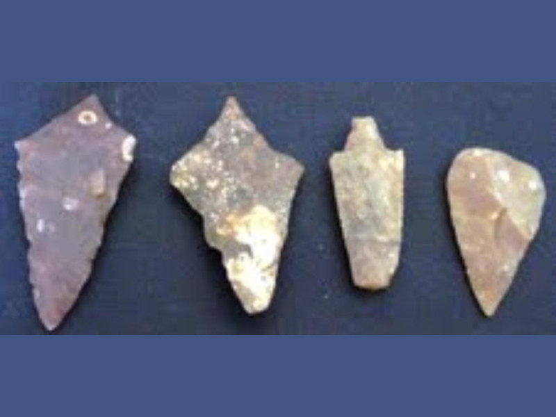 Vico del Gargano, Museo Civico Archeologico “Comm. Francesco delli Muti”