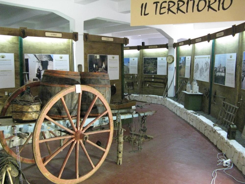 Alberobello, Museo del Vino di Alberobello Alberobello, Museo del Vino di Alberobello