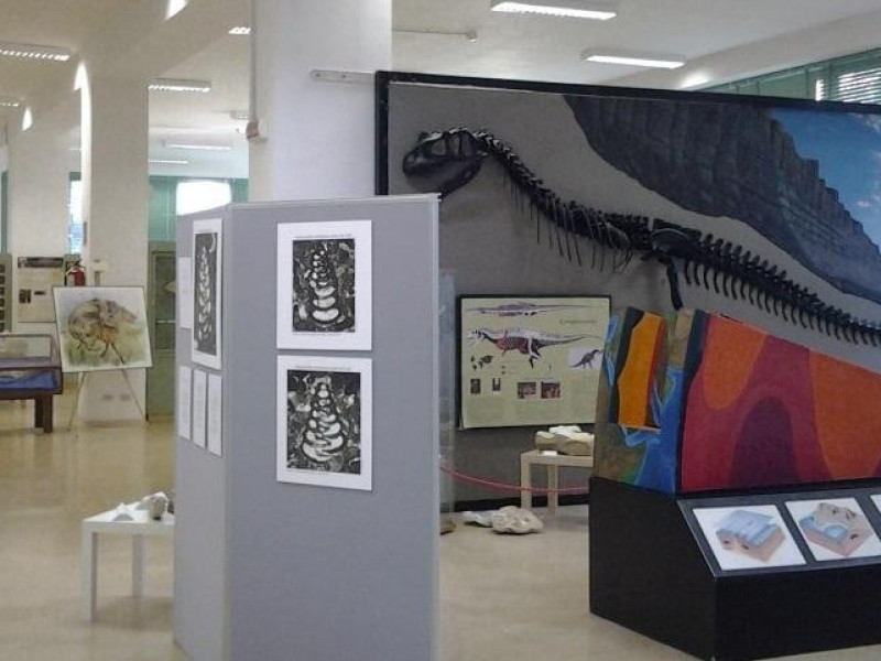 Immagine descrittiva - http://www.barinedita.it/public/foto_galleria/20140924_094426%20Medium.jpg Immagine descrittiva - http://www.barinedita.it/public/foto_galleria/20140924_094426%20Medium.jpg