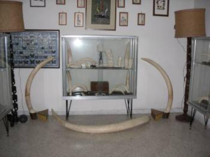 Immagine descrittiva -  Immagine descrittiva -