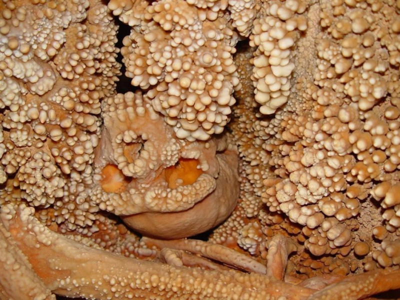 CENTRO VISITE DELLA GROTTA DI LAMALUNGA: uomo di Altamura CENTRO VISITE DELLA GROTTA DI LAMALUNGA: uomo di Altamura