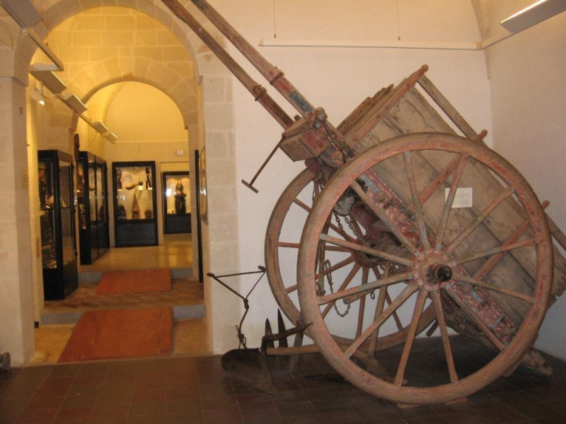 Lizzano, Museo civico della paleontologia e dell'uomo  Lizzano, Museo civico della paleontologia e dell'uomo