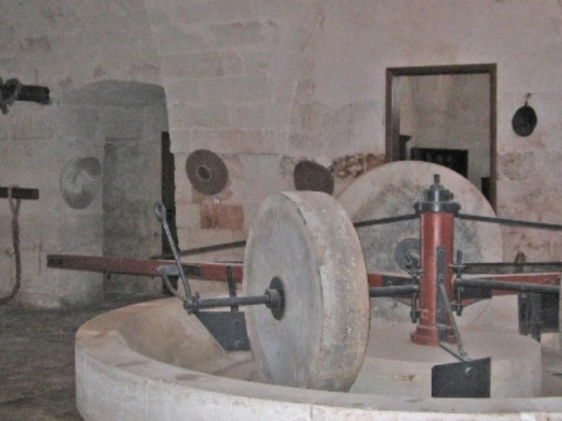 Fasano, Museo dell'Olio d'Oliva di Fasano  Fasano, Museo dell'Olio d'Oliva di Fasano