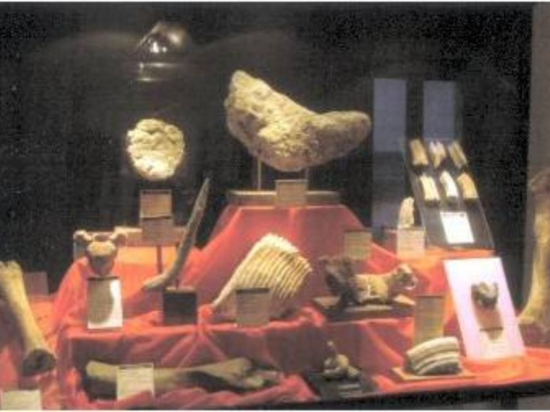 Latiano, Museo del Sottosuolo di Latiano Latiano, Museo del Sottosuolo di Latiano