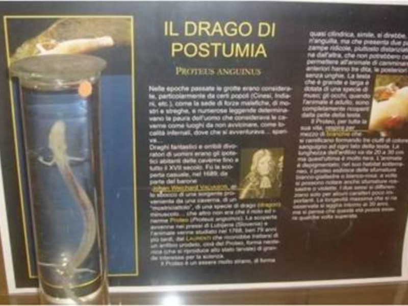 Latiano, Museo del Sottosuolo di Latiano Latiano, Museo del Sottosuolo di Latiano