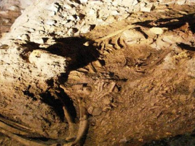 Ostuni, Museo di Civiltà Preclassiche della Murgia Meridionale e Parco Archeologico e Naturale di Santa Maria di Agnano di Ostuni  Ostuni, Museo di Civiltà Preclassiche della Murgia Meridionale e Parco Archeologico e Naturale di Santa Maria di Agnano di Ostuni